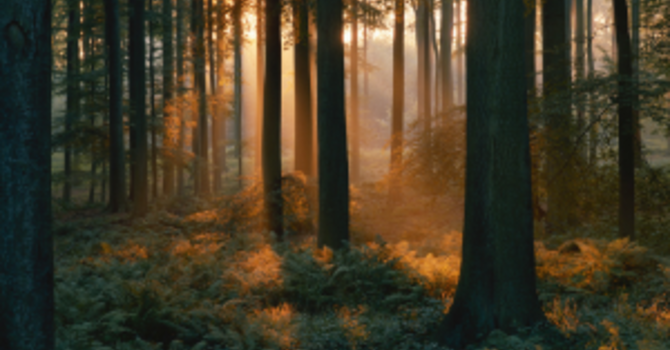 Men's Mental Health British Columbia